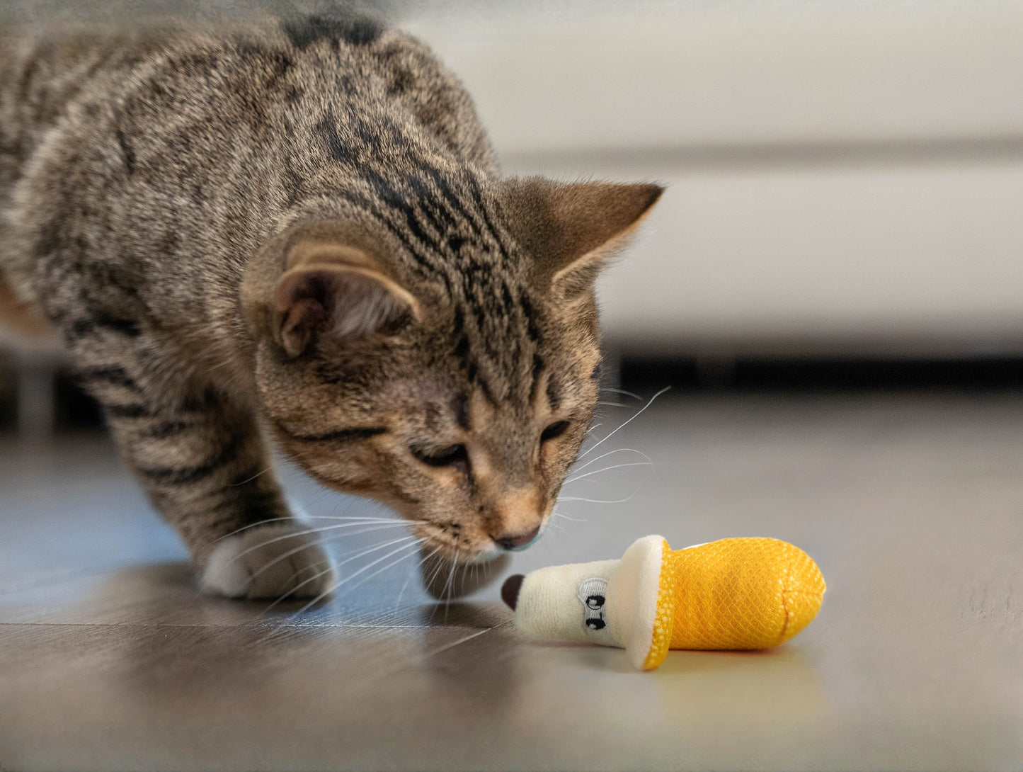 Catstages Dental Banana