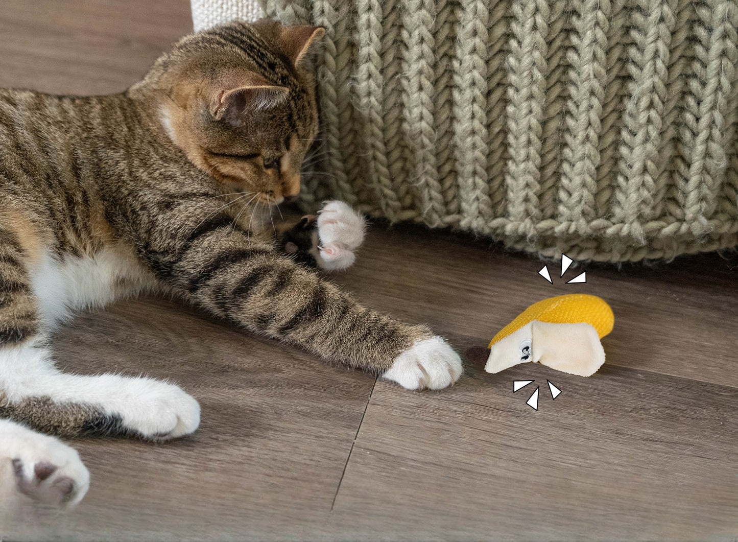 Catstages Dental Banana