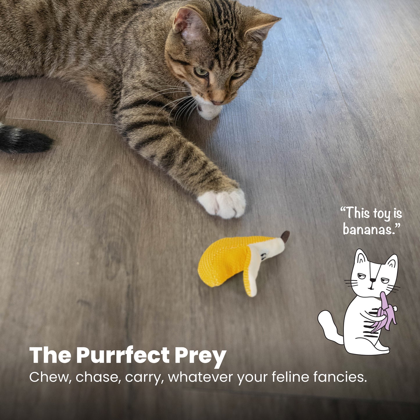 Catstages Dental Banana