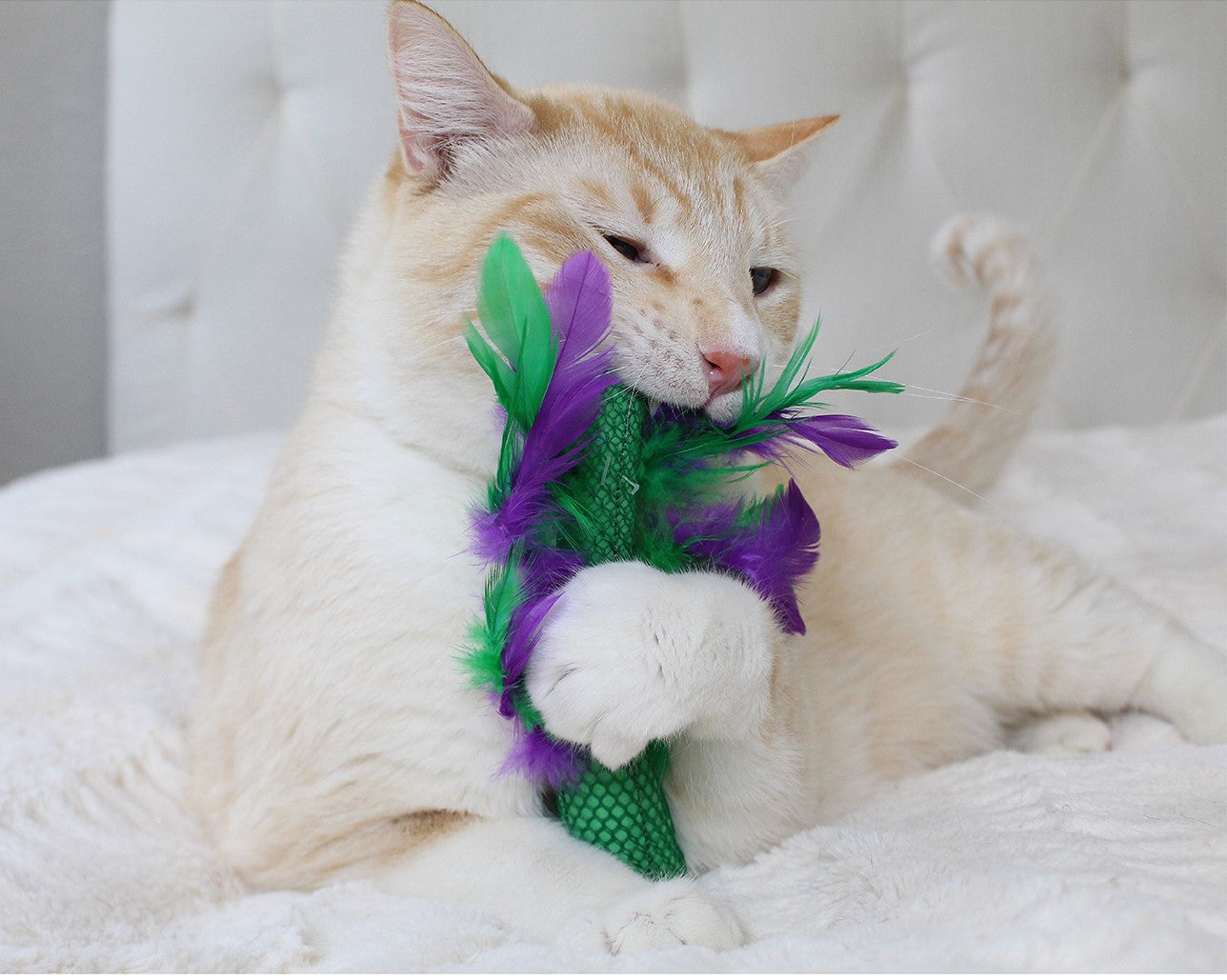 Catstages Krazy Kale Multi Textured Cat Crinkle Feather Toy