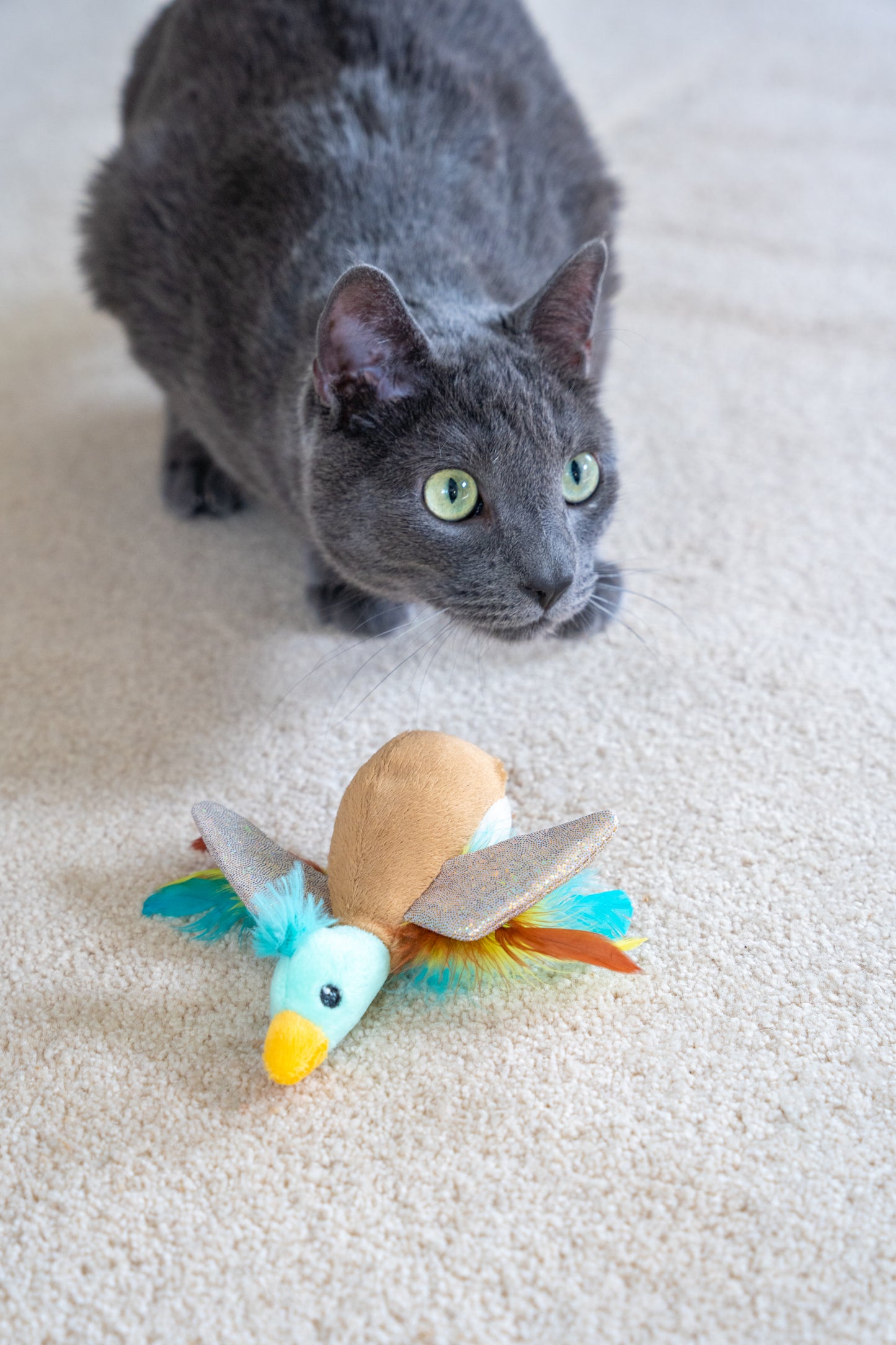 Catstages Catnip Flapperz Duck Cat Toy