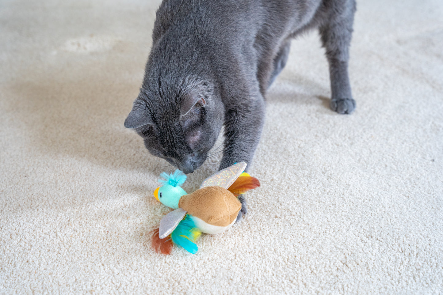 Catstages Catnip Flapperz Duck Cat Toy