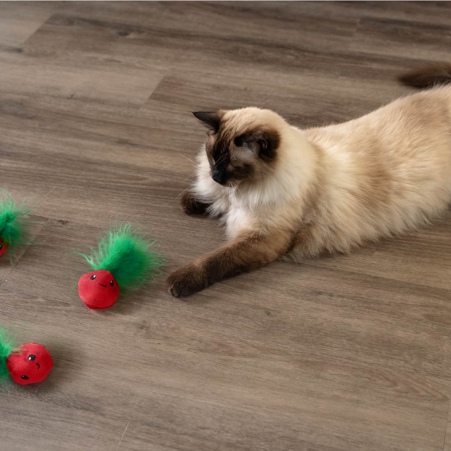 Catstages Catnip Strawbabies Fun Feathers Cat Toy 3pcs