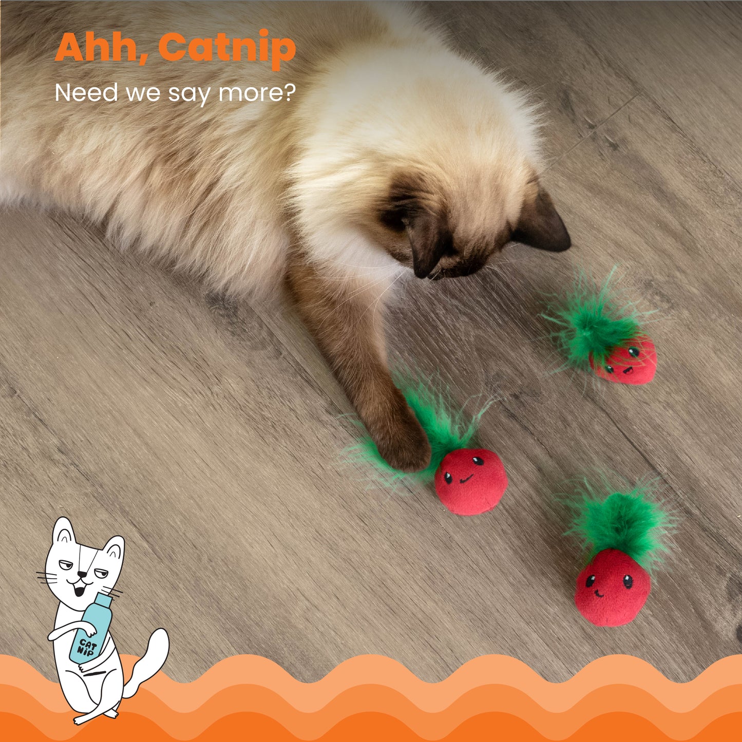 Catstages Catnip Strawbabies Fun Feathers Cat Toy 3pcs
