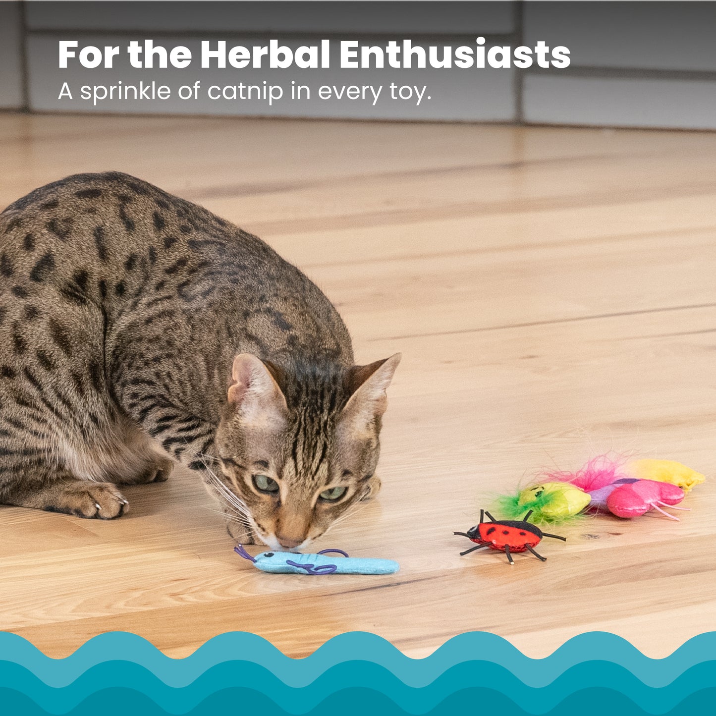 Catstages Cute As A Bug Catnip Toys 6pcs