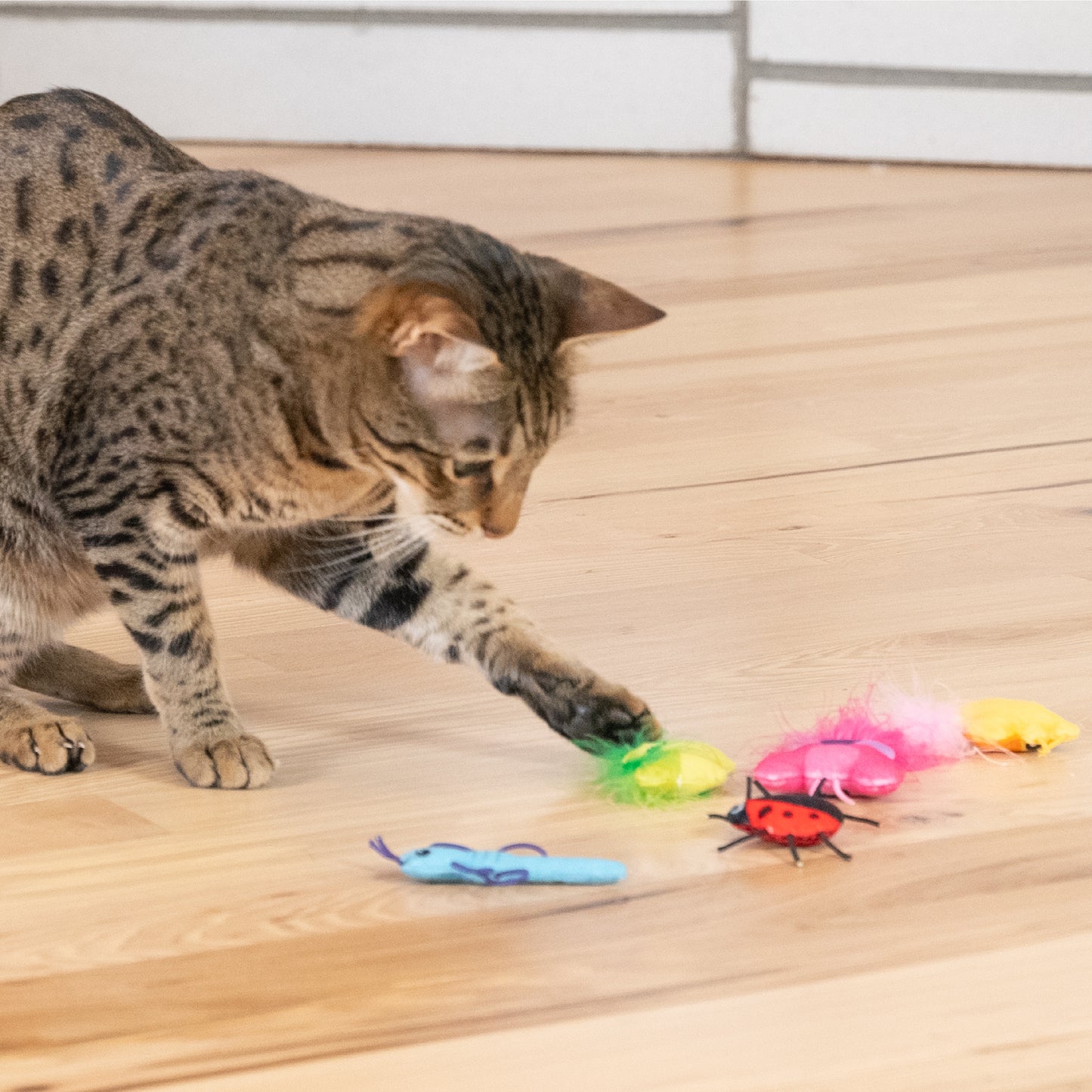 Catstages Cute As A Bug Catnip Toys 6pcs