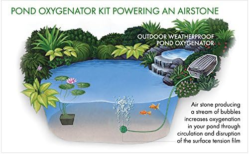 Blagdon Pond Oxygenator Kit 2 Outlet