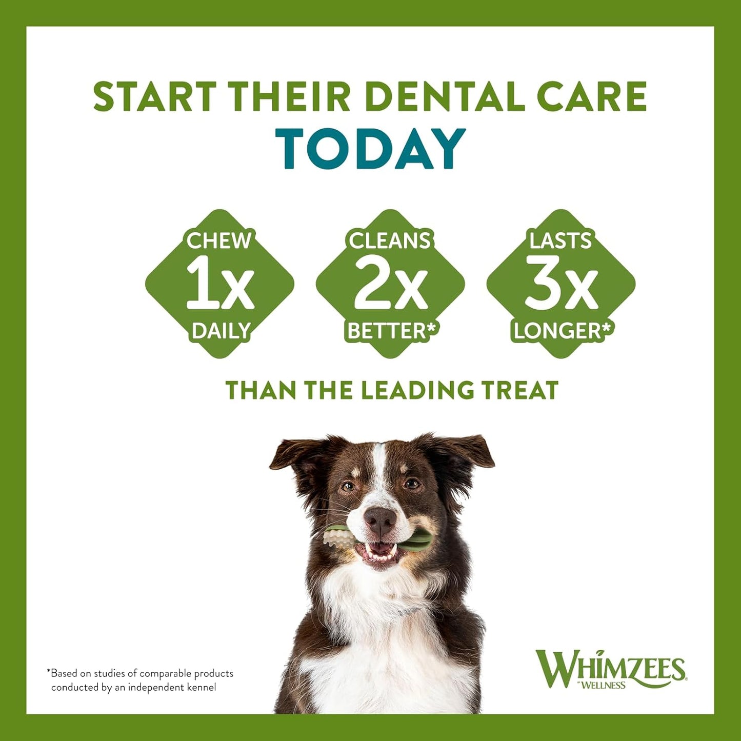 Whimzees Medium Toothbrush 12 Pack