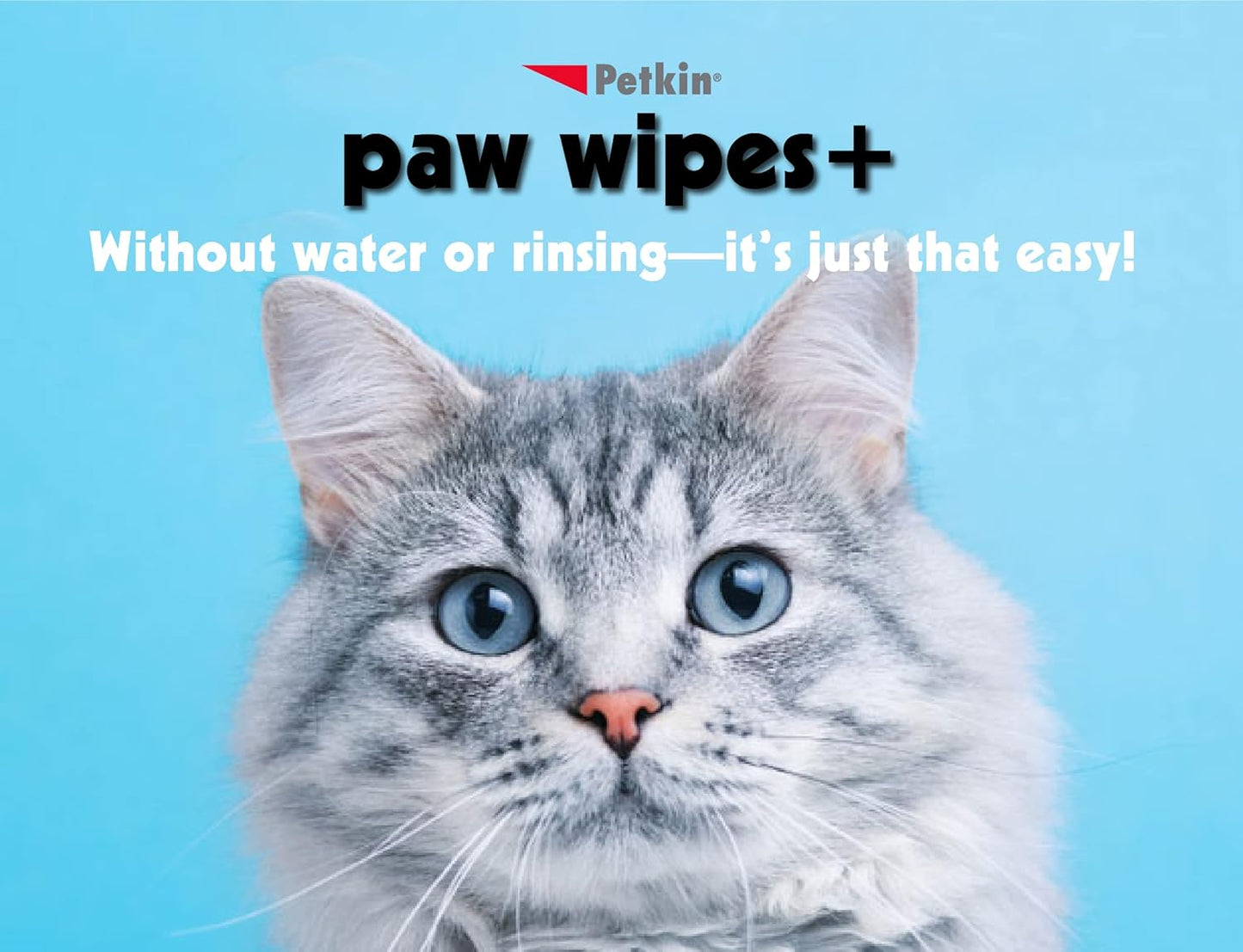 Petkin Paw Wipes 100 Tub