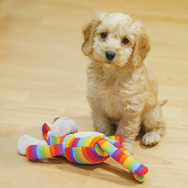 Chubleez Sonny Monkey Squeaky Dog Toy