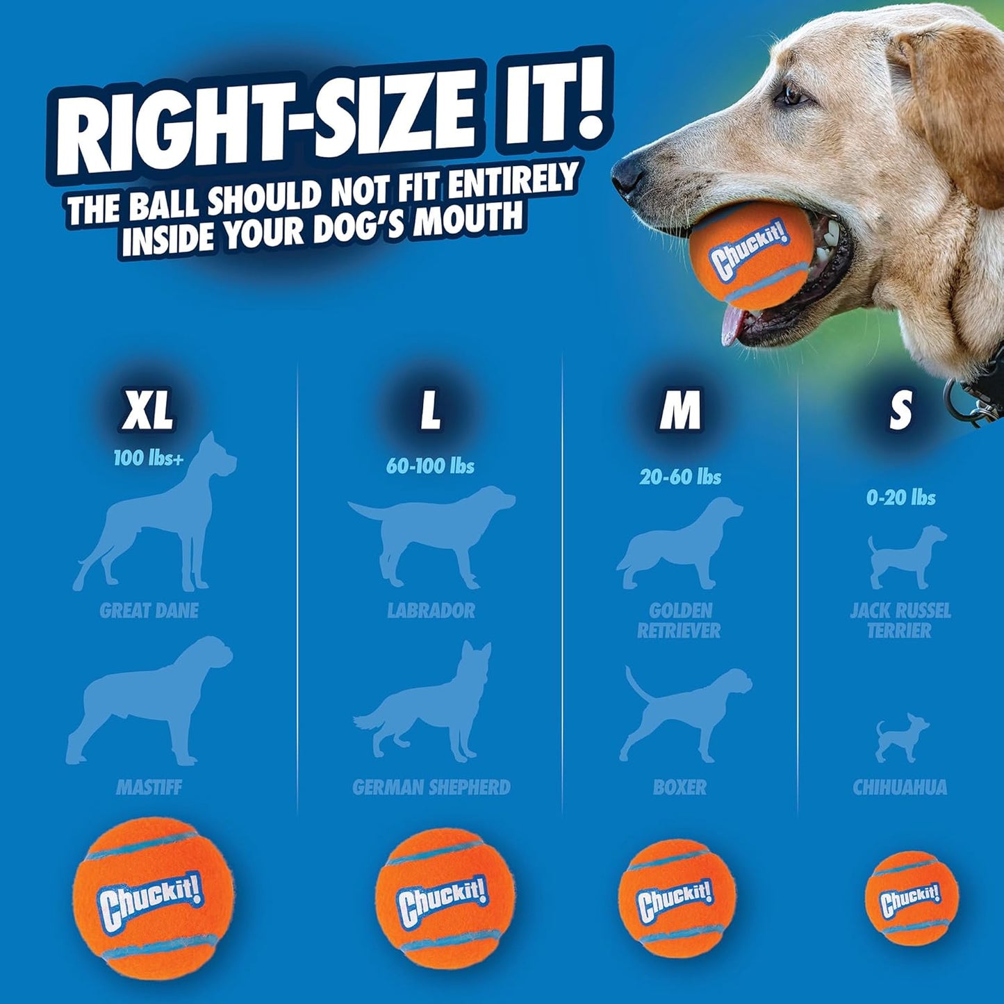 Chuckit! Tennis Ball 2 Pack Medium 6.5cm