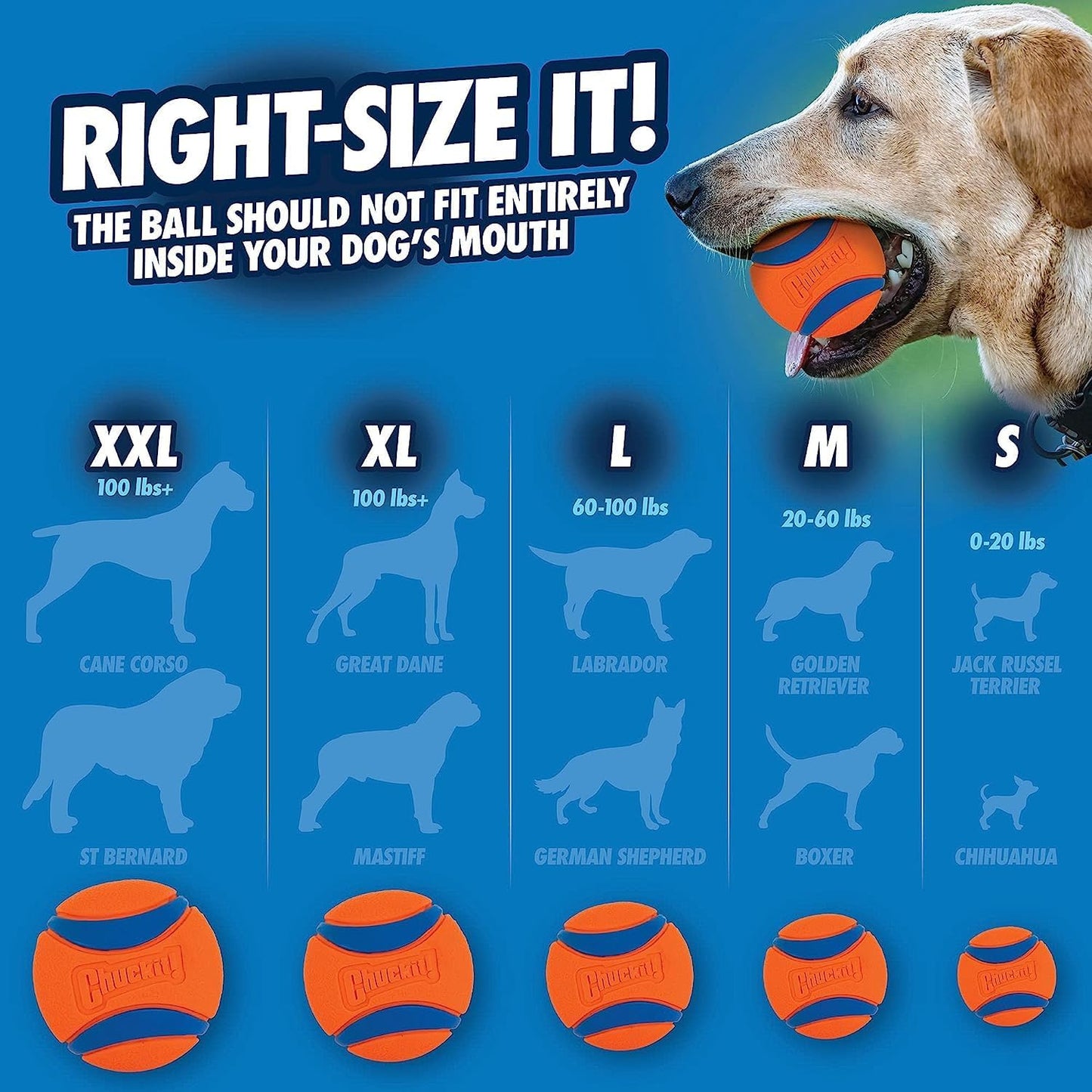 Chuckit! Ultra Tug Large 7.3cm