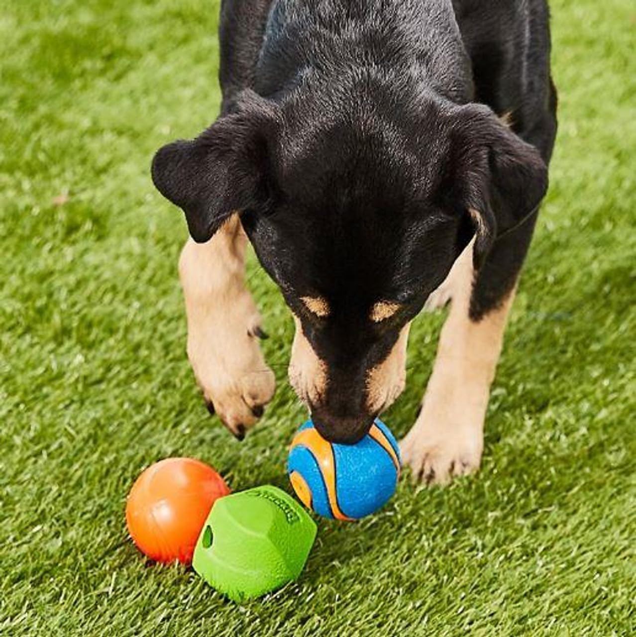 Chuckit! Fetch Medley 2 Assorted Medium 6.5cm 3 Pack