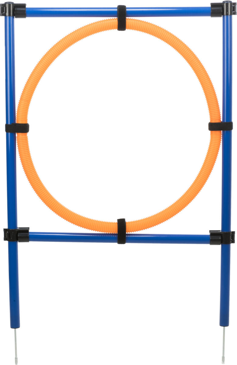 Trixie Fun Agility Ring, Plastic, 115 x 3 cm Blue/Orange
