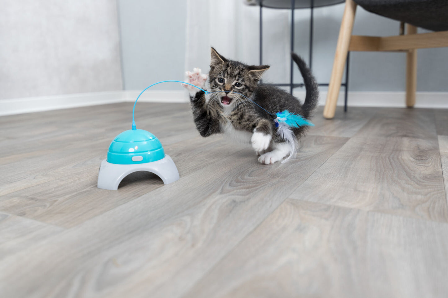 Trixie Cat Toy Catch Me
