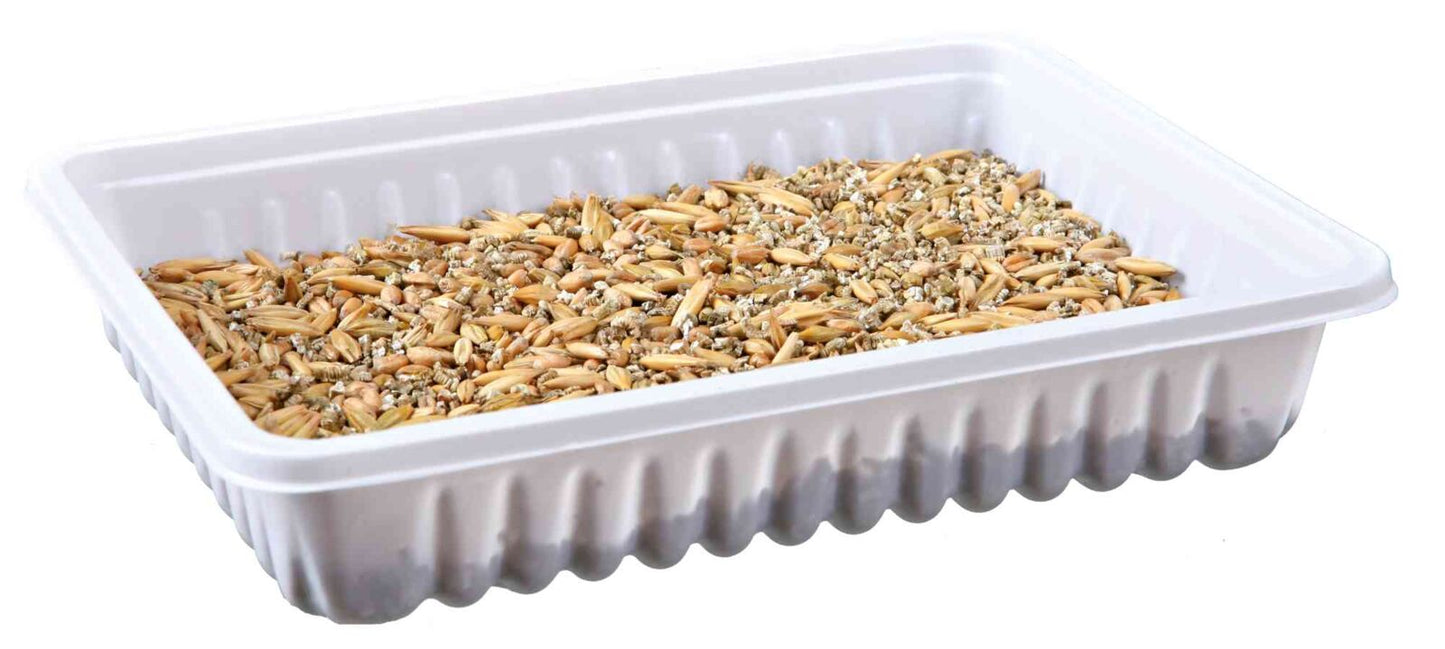 Trixie Small Animal Grass 100g