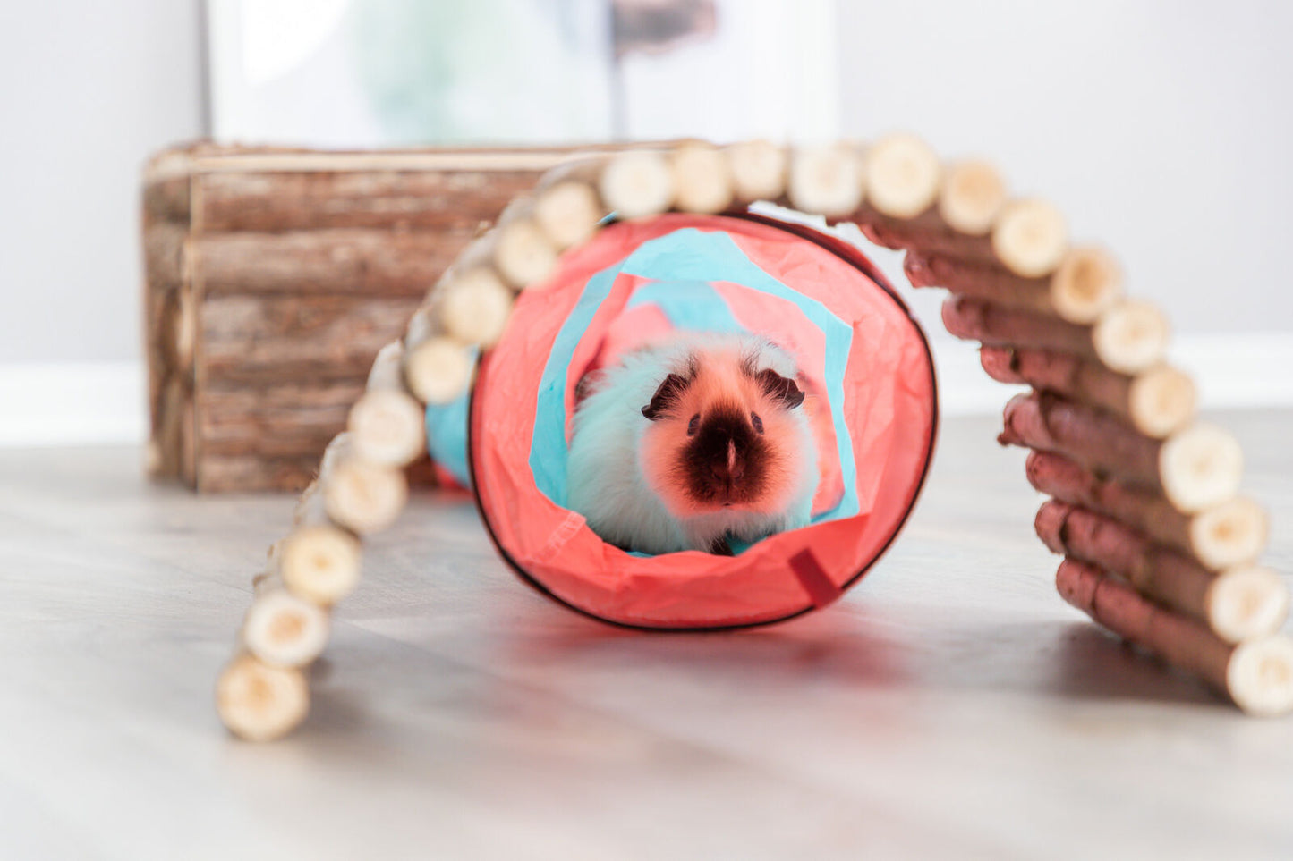 Trixie Playing Tunnel 18 x 130cm