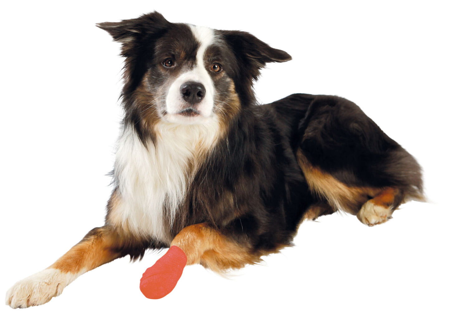 Trixie Self Adhestive Dog Bandage 4pcs