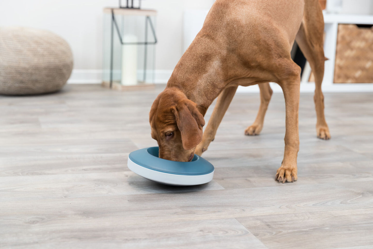 Trixie Rocking Bowl Slow Feeder 23cm 0.5ltr
