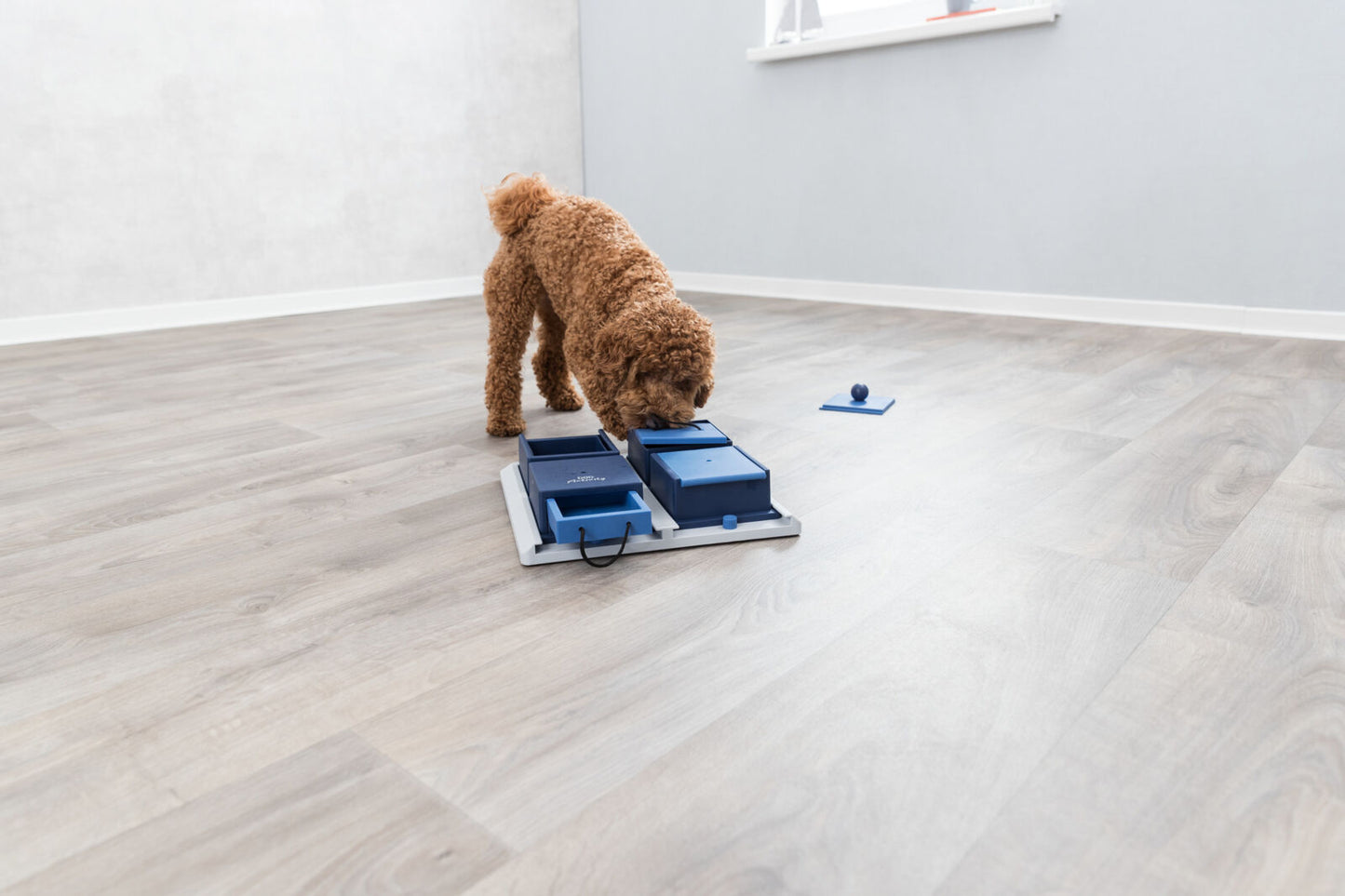 Trixie Poker Box Dog Strategy Game