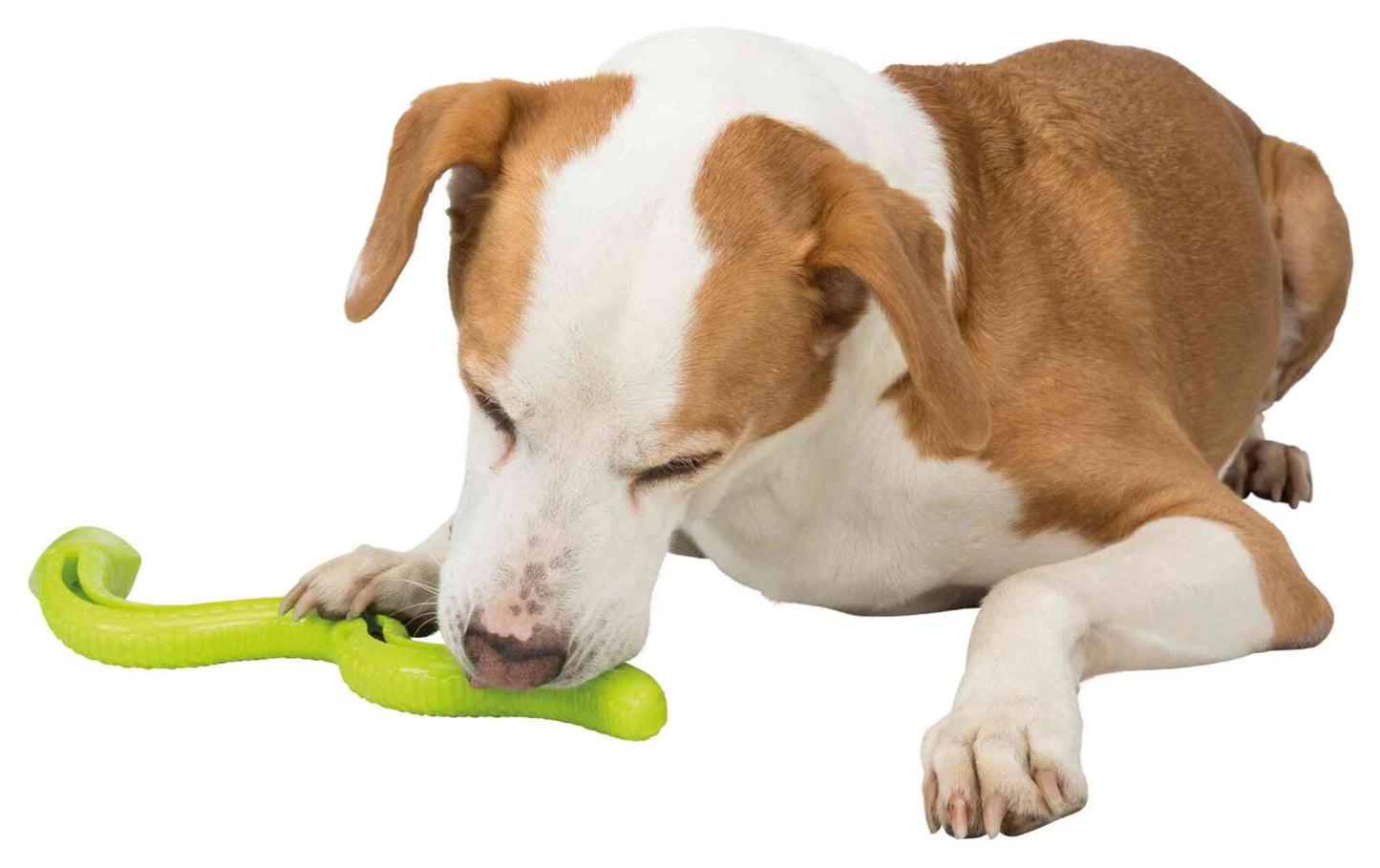 Trixie TPR Snake Small 42cm