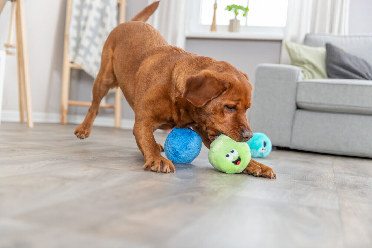1x Trixie Plush Recycled Ball 10cm, Assorted