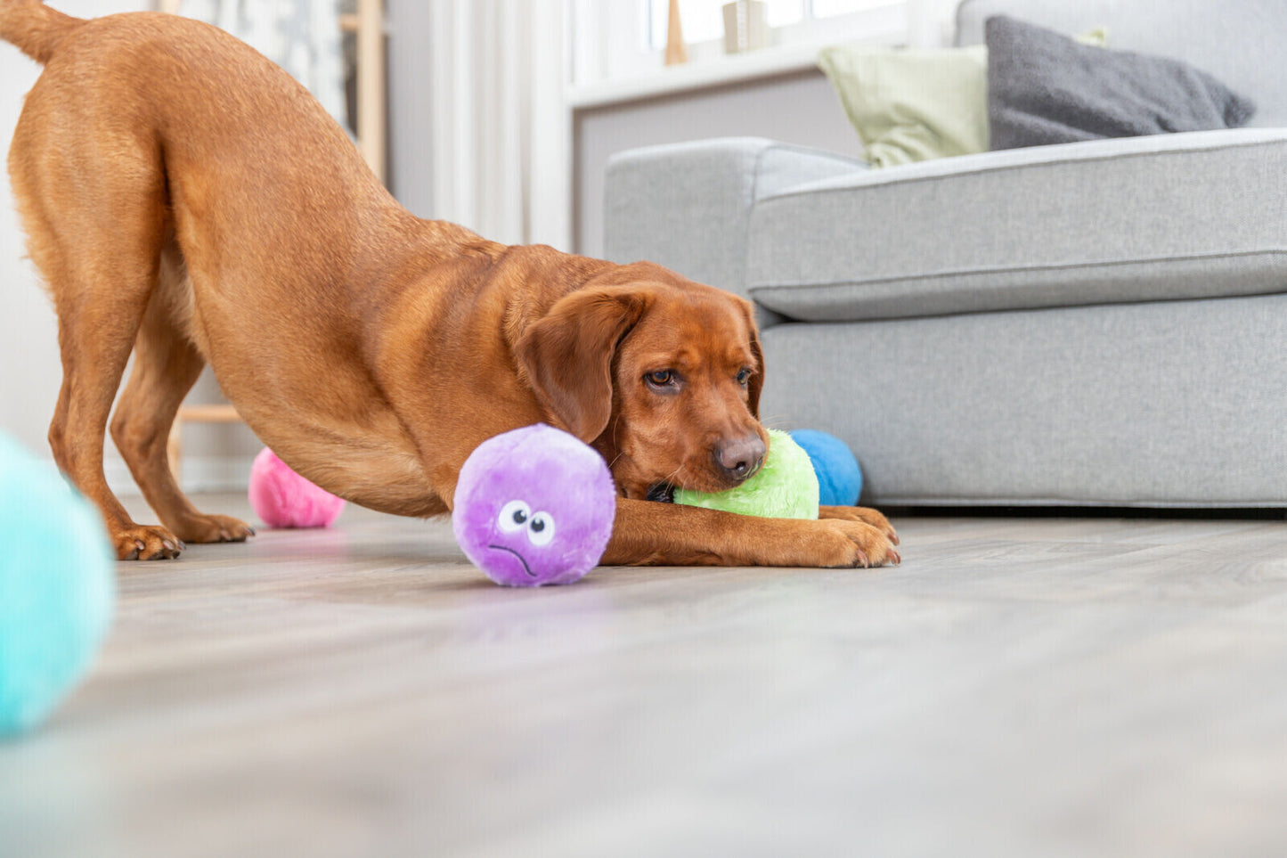 1x Trixie Plush Recycled Ball 10cm, Assorted