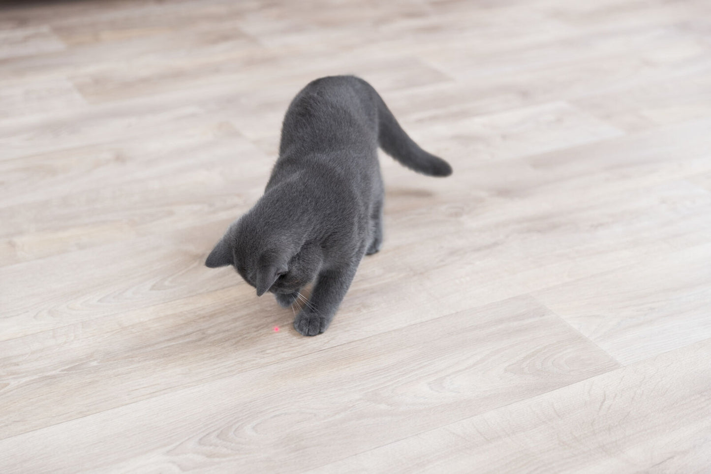 Trixie Moving Light Cat Toy