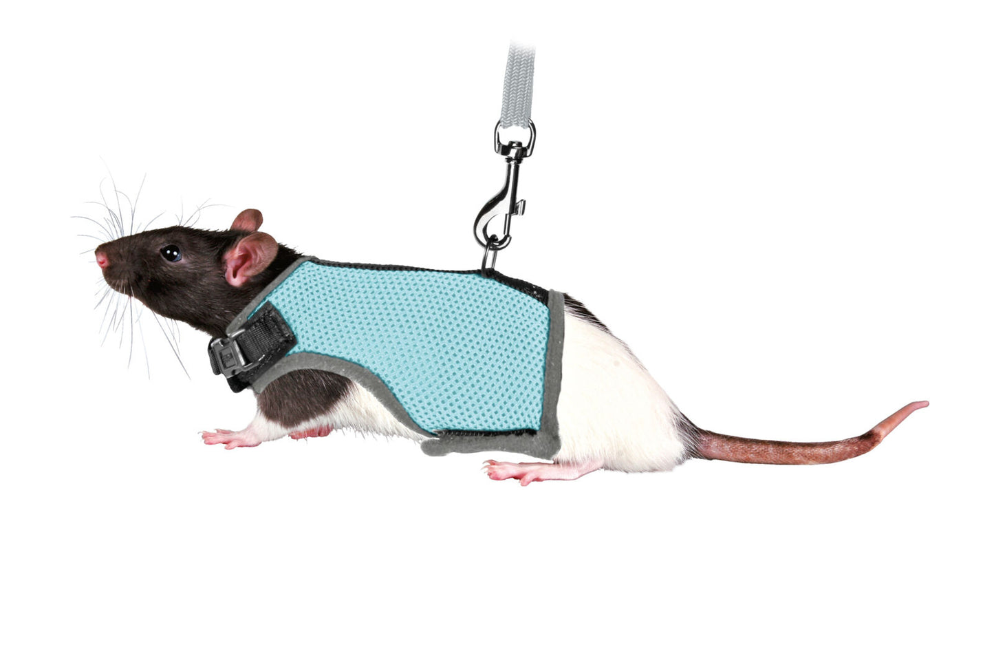 Trixie Rat Harness