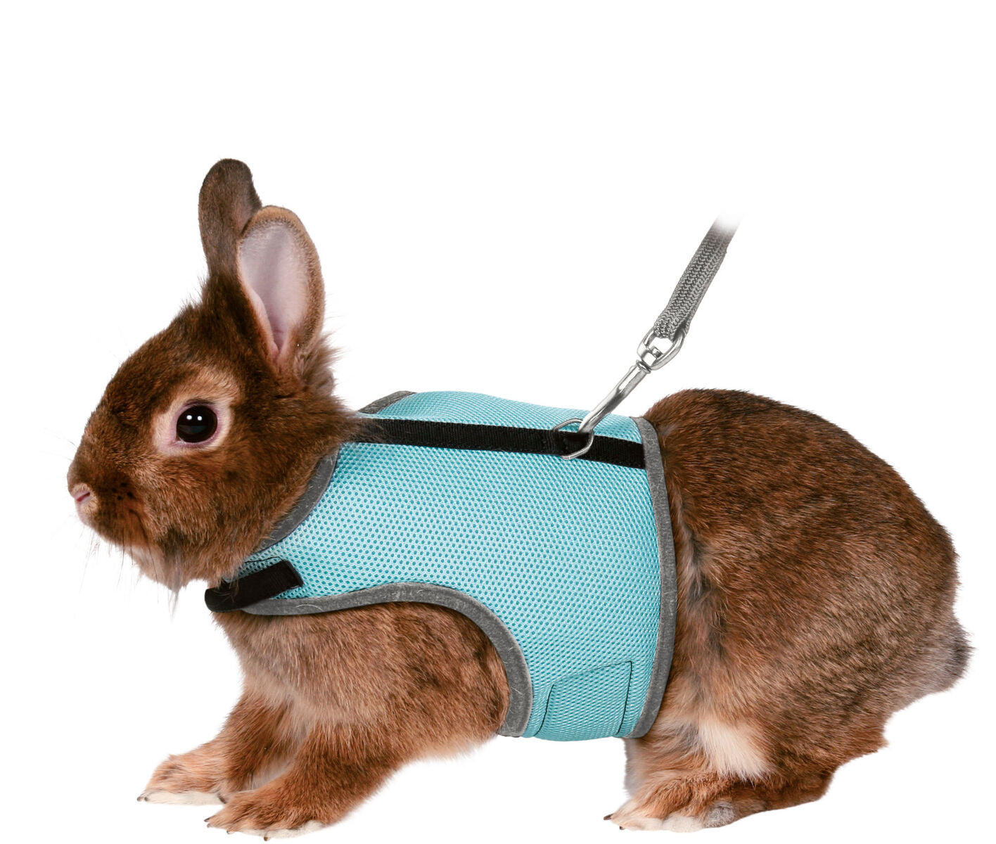 Trixie Rabbit Harness