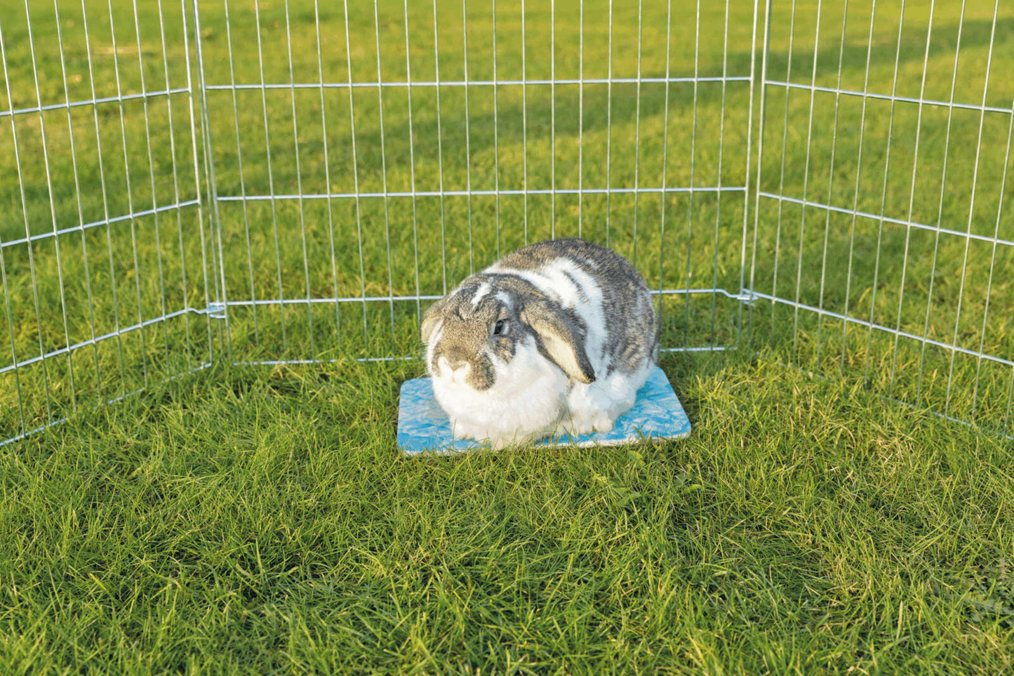 Trixie Small Animal Ceramic Cool Pad
