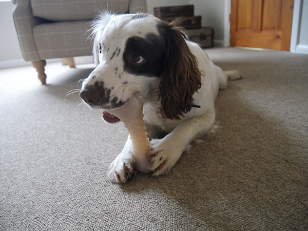 Rosewood Tough Toys Wood Flavour Bone Large