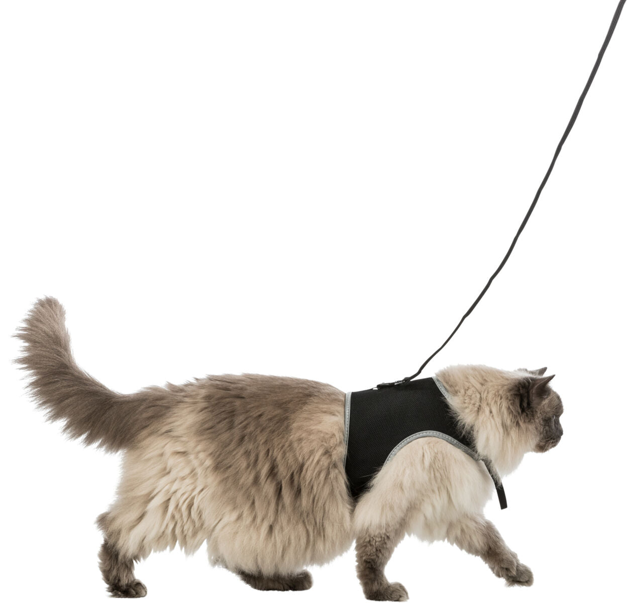 Trixie Large Trixie X Cat Harness X Large 36-54 Cm
