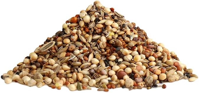 Rio Healthy Seeds Natural Treat 240g