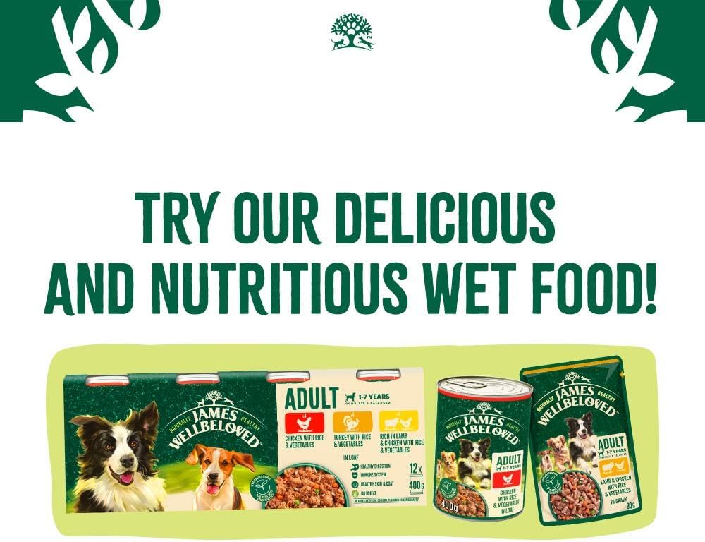 James Wellbeloved Grain Free Adult Turkey & Vegetable Dog Food 10kg