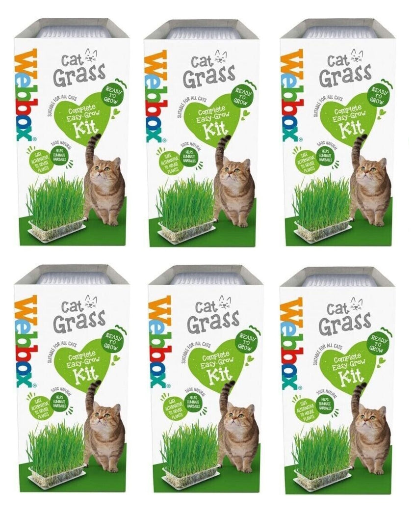 Webbox Cat Grass 120g