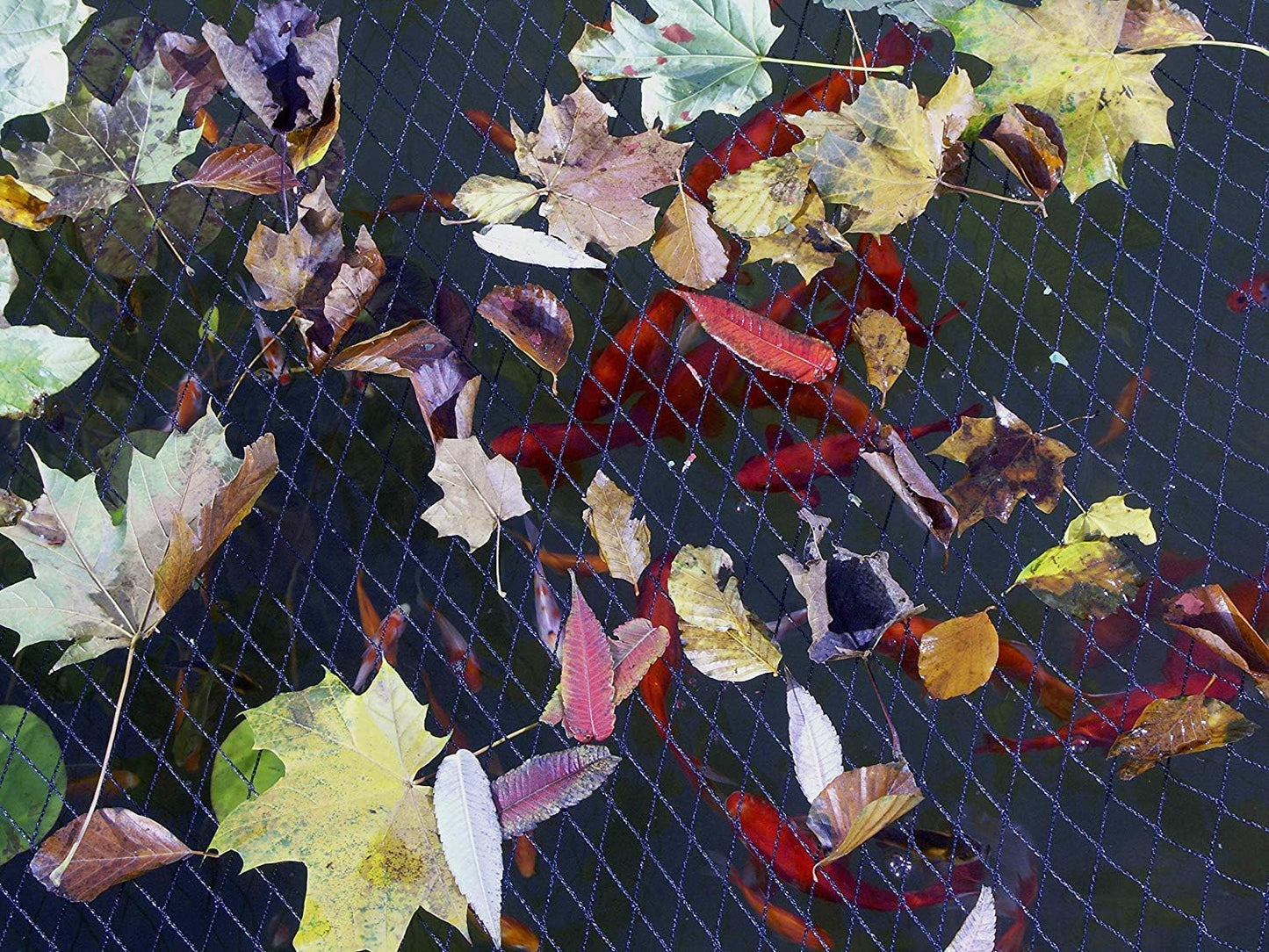 Blagdon Clearview Pond Cover Net Kit 6m x 4m