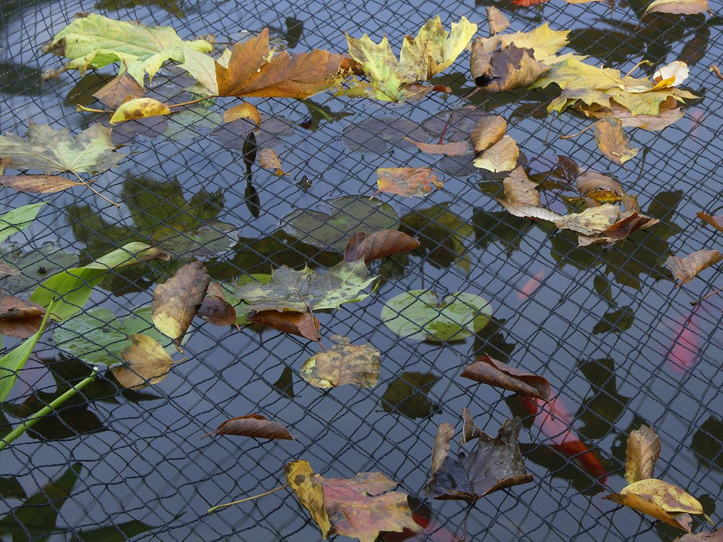 Blagdon Clearview Pond Cover Net Kit 6m x 5m