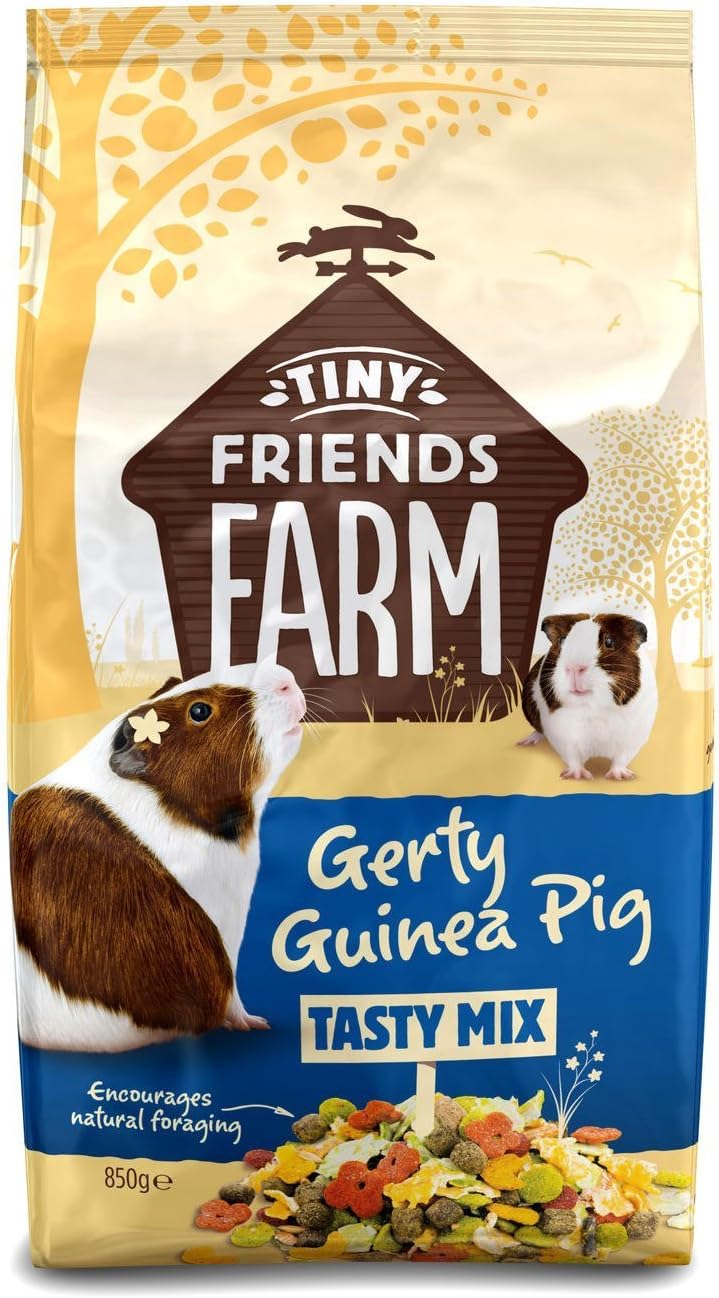 Tiny Friends Gerty Guinea Pig 850g