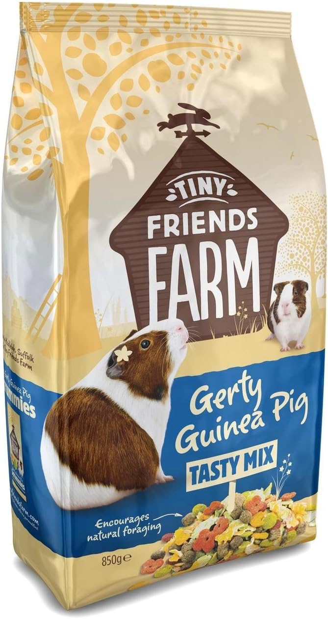Tiny Friends Gerty Guinea Pig 850g