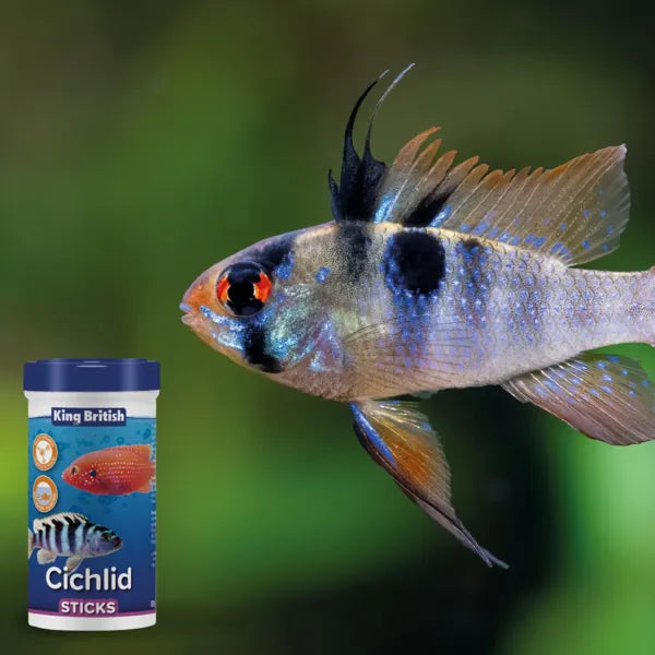 King British Cichlid Sticks 80g
