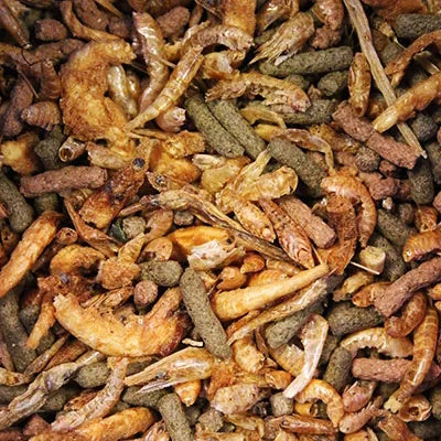 King British Turtle & Terrapin Food 80g