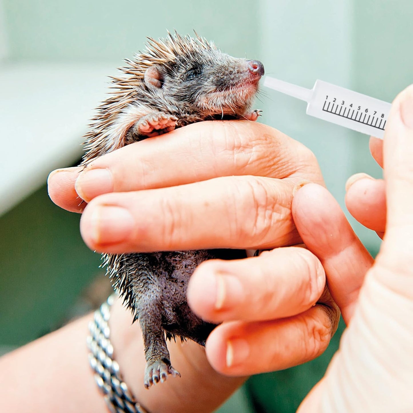 Beaphar Lactol Feeding Syringes For Orphaned Pets & Wildlife