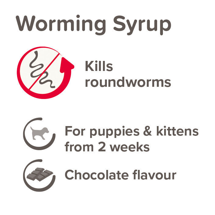 Beaphar Worming Syrup 45ml