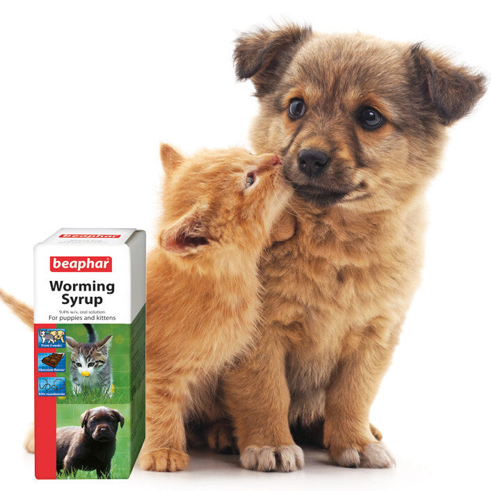Beaphar Worming Syrup 45ml