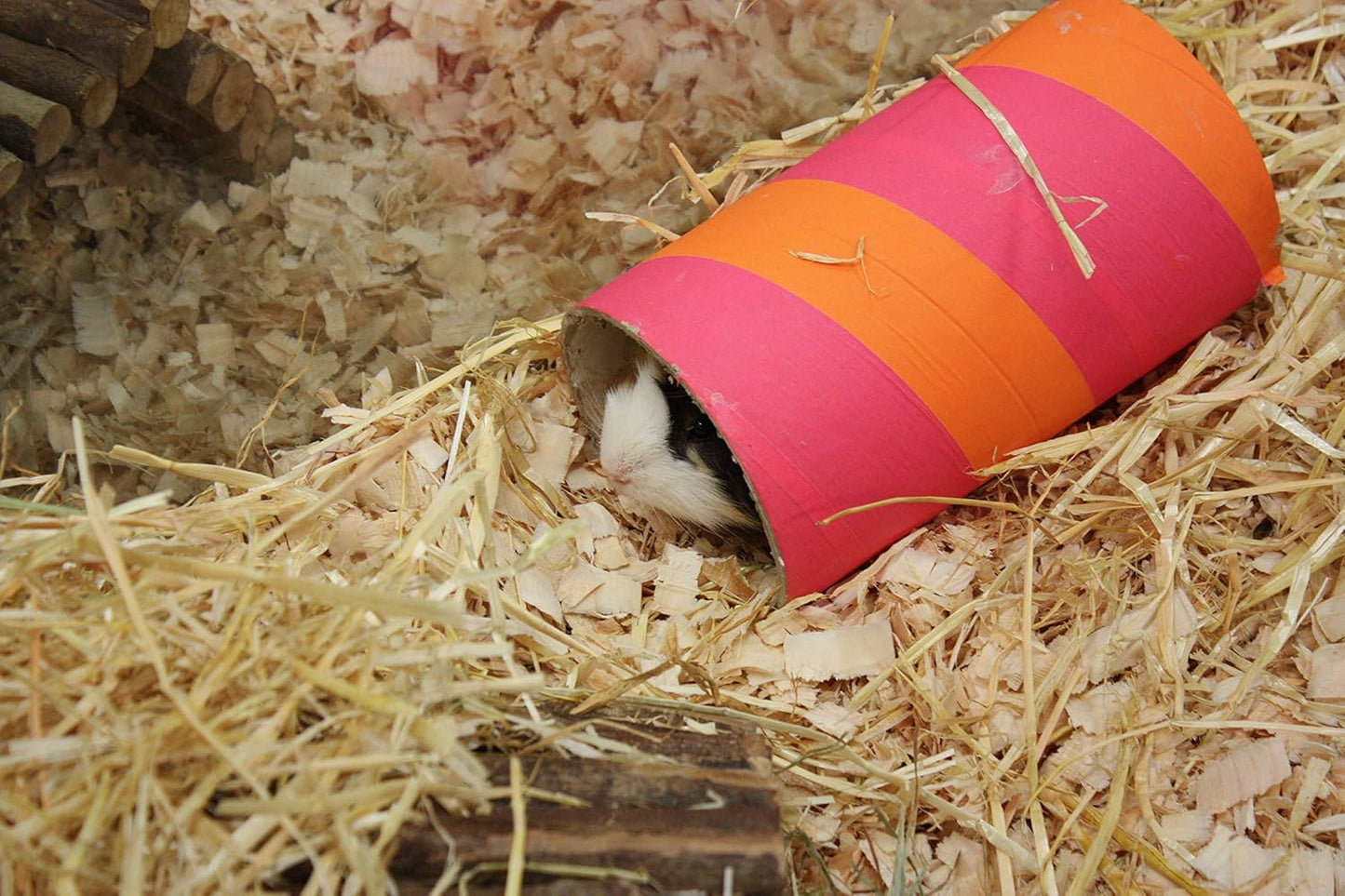 Critter's Choice Chube Jumbo Rabbit