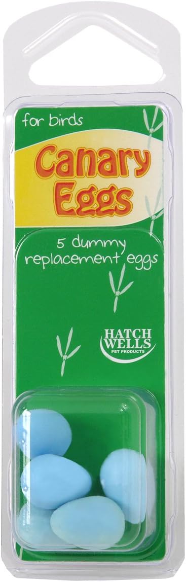 Hatchwells Canary Dummy Eggs 5pcs