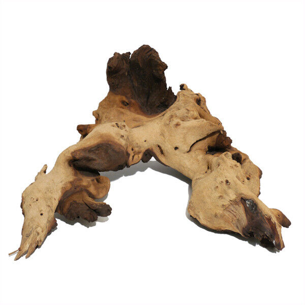 Rosewood Tropix Mopani Deco Wood Small