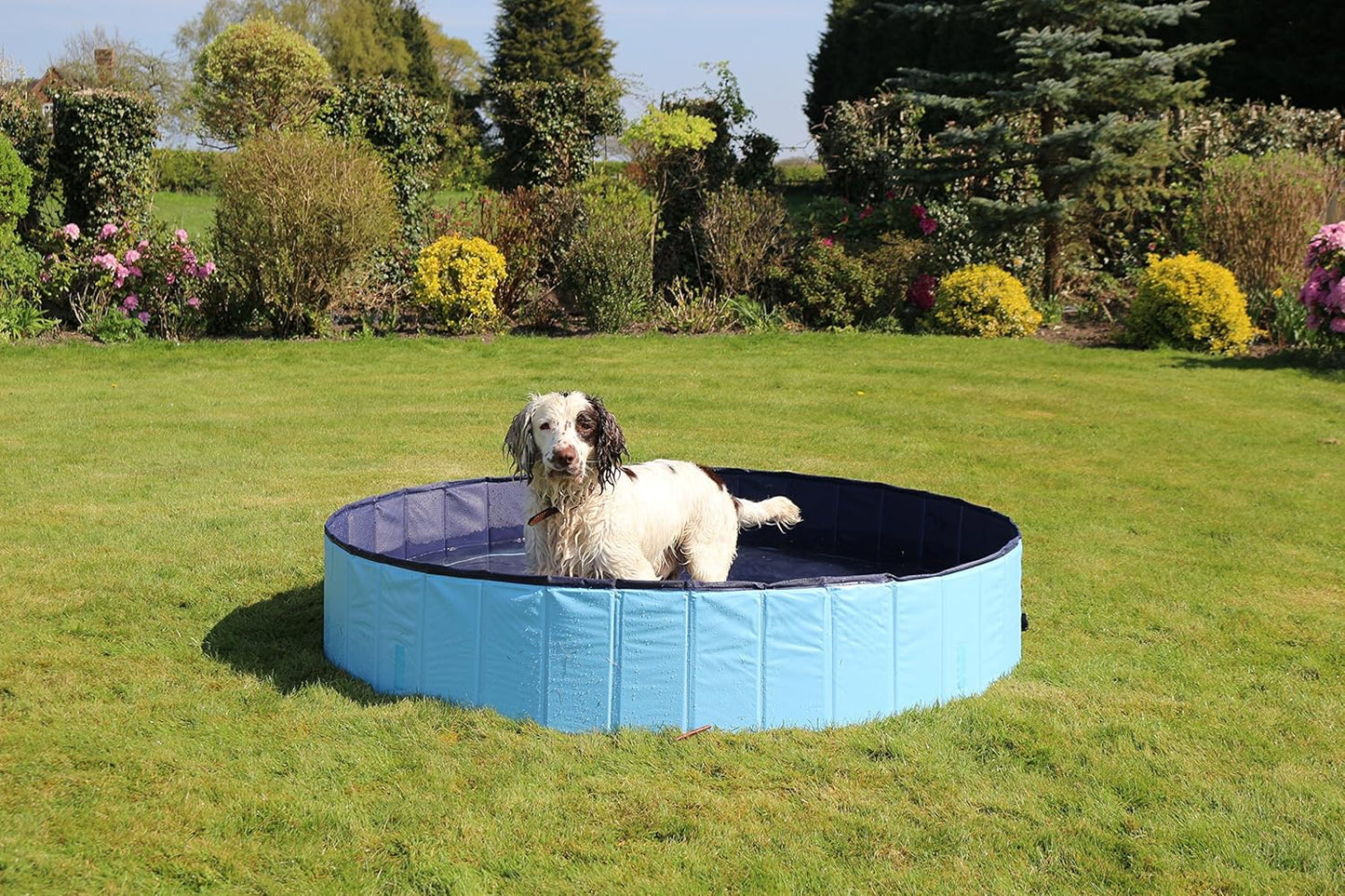 Rosewood Cool Down Dog Pool 120 X 30 Cm Medium