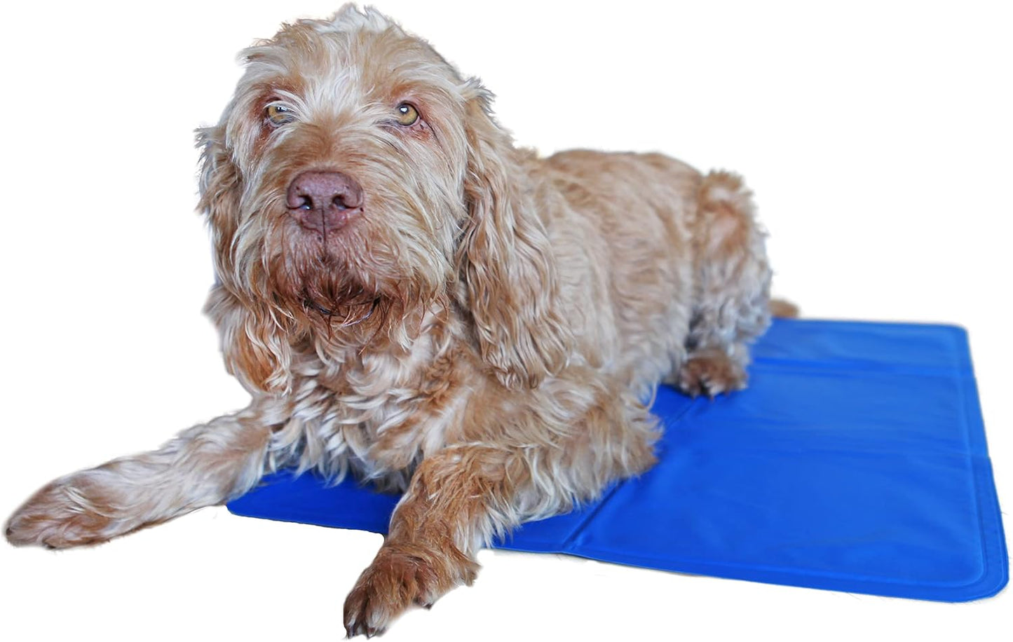 Rosewood Pet Cooling Mat Large 70 X 91 Cm